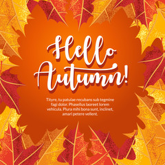 Hello Autumn banner with grain shadow style for autumn season