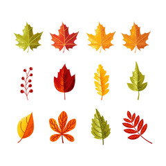 Colorful leaves with grain shadow for autumn season