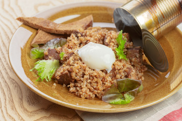 Canned stew put on a plate close up