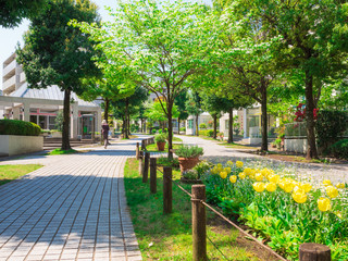 Obraz premium 閑静な住宅街