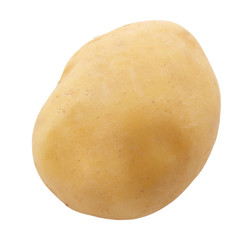 potato isolated on white background
