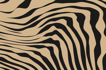 Close up Stripe Animal Pattern