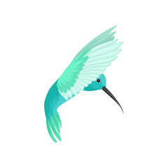 Flat vector icon of beautiful colibri bird. Tropical hummingbird with long thin beak. Wildlife and fauna theme