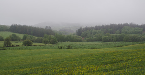 Landscape of meadows and hills with fog.
