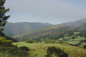 Fototapeta na wymiar Landscape of meadows and hills.