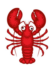 Lobster vector character. Lobster vector illustration in cartoon style isolated on white
