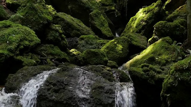 Tiefsteinklamm Canyon with Waterfall near Salzburg Austria