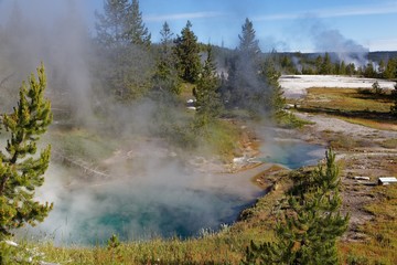 Bluebell Pool