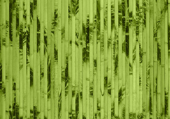 Green bamboo texture with natural patterns