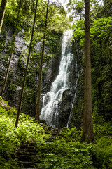 Beautiful view of Waterfall in the lush and green Black Forest, Southern of Germany