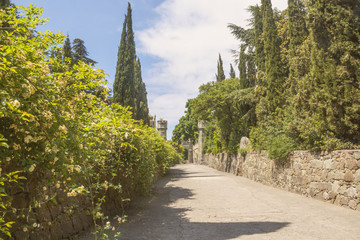 The road leading to the old Vorontsov Palace,surrounded by a century-old Park.Crimea.