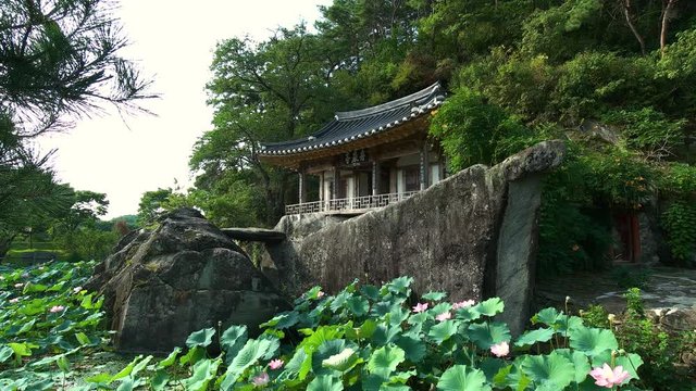 149 Korean gazebo and lotus flower