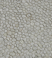 brickwall background texture