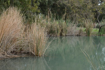Sources of the Yarkon River