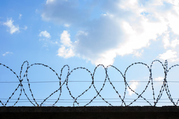 A horizontal barbed wire fence texture