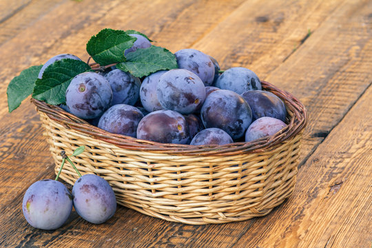 Just picked plums in wicker baskets on old wooden boards