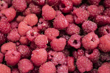 Raspberry berry
