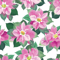Seamless pattern of Poinsettia flowers in pink and green color frame on white background. Vector set of Christmas elements for holiday invitations, greeting card and advertising design.