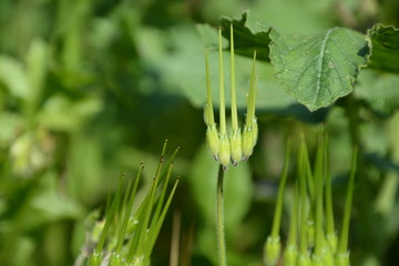 Sources of the Yarkon River
