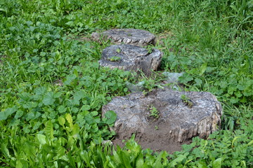 Sources of the Yarkon River

