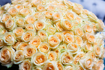 Isolated close-up of a huge bouquet of white roses