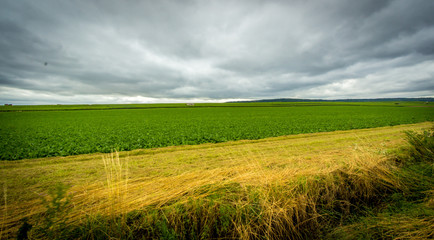 Fototapeta premium Champagne region