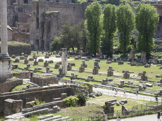 Obraz premium 24 april 2018, Forum Romanum, Fori romani, ancient site of antique city of Rome, in Rome near Palatino hill