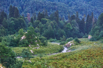 The Caucasus mountains in Russia