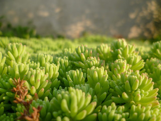 this is very interesting.  beautiful nature