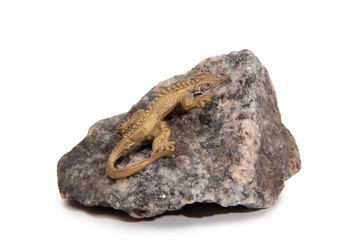 Bronze lizard on a granite stone on a white background