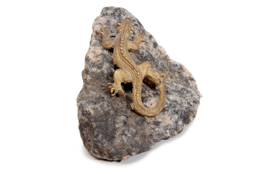 Bronze lizard on a granite stone on a white background