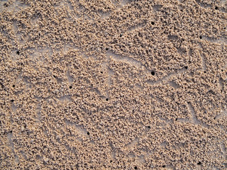 Crab footprints