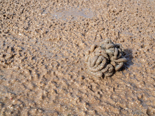 Crab hole