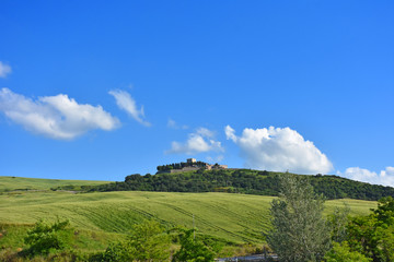 Italy, Puglia region, typical hilly landscape in spring