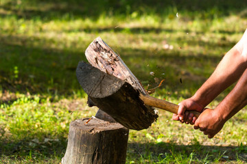 A young man chopping wood in the forest