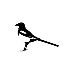 magpie silhouette