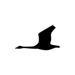 flying swan, goose silhouette