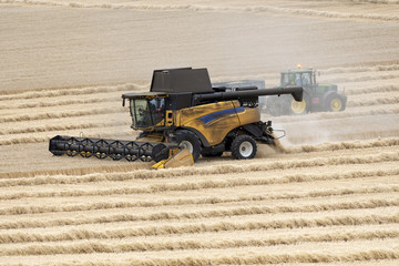 Obraz premium Hampshire, England, UK. 2018. A modern combine harvester working in a field of wheat at harvest time.