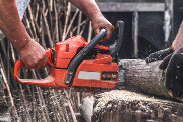 Naklejka premium Cutting wood with electric saw
