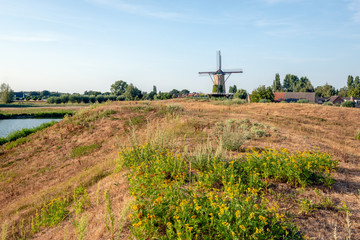 Edge of a Dutch village in the summer season