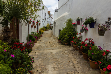 Steep street with flower pots in an Andalusian white village (Vejer de la Frontera, Spain)