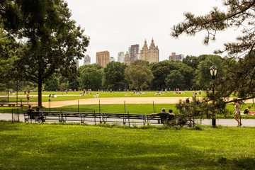 Central Park on a Sunday (New York, USA)