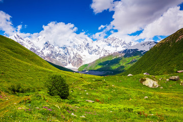 Fascinating lawn with yellow and white flowers. The landscape with the great beautiful mountains in the sun rays. Eco tourism. Spring scenery. Upper Svaneti, Georgia, Europe.