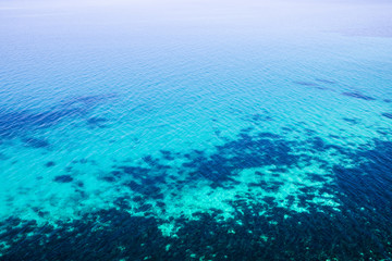Beautiful aquamarine underwater world. Transparent water and unusual algae off the coast
