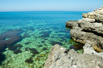 Beautiful aquamarine underwater world. Transparent water and unusual algae off the coast