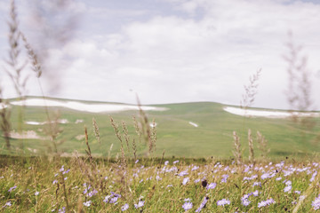 Republic of Adygea / Russia - July 28, 2018: Views on the landscape with plants and snow of the Caucasian Reserve