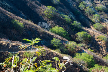 ダイアモンドヘッド&bull;ハイキング（Diamond Head  Hiking Trail）
