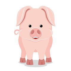 Cute pig smiling standing on a white background.
