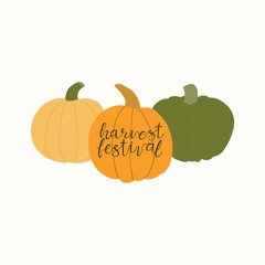 Hand drawn vector illustration of a different pumpkins, with lettering quote Harvest festival. Isolated objects on white background. Flat style design. Concept for gardening, autumn harvest.