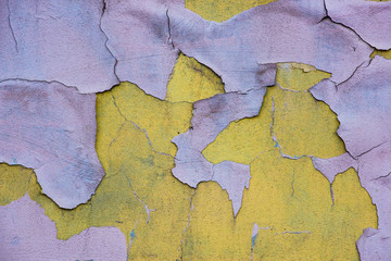 Peeling plaster purple on yellow wall
